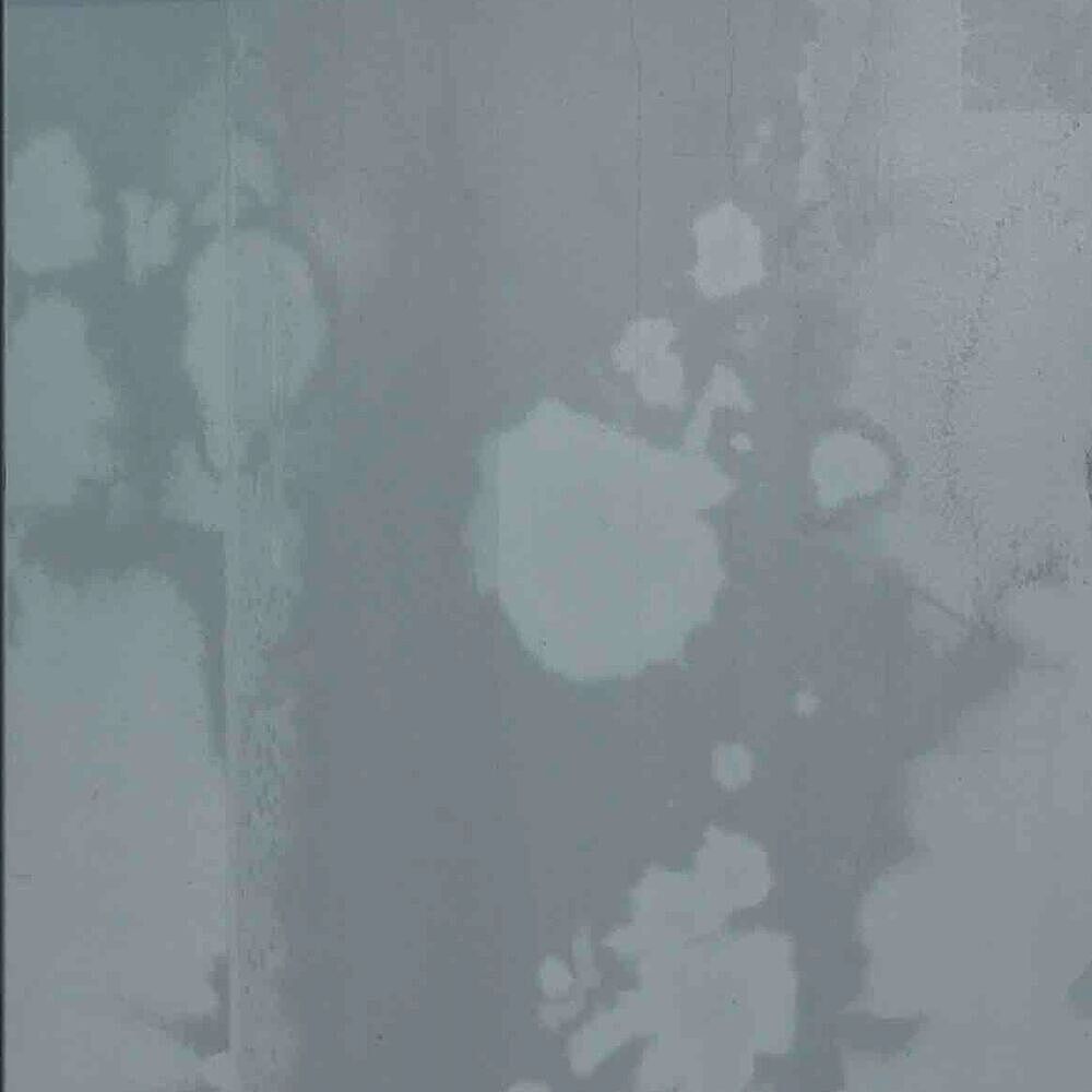 ZAM