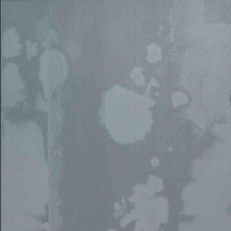 ZAM