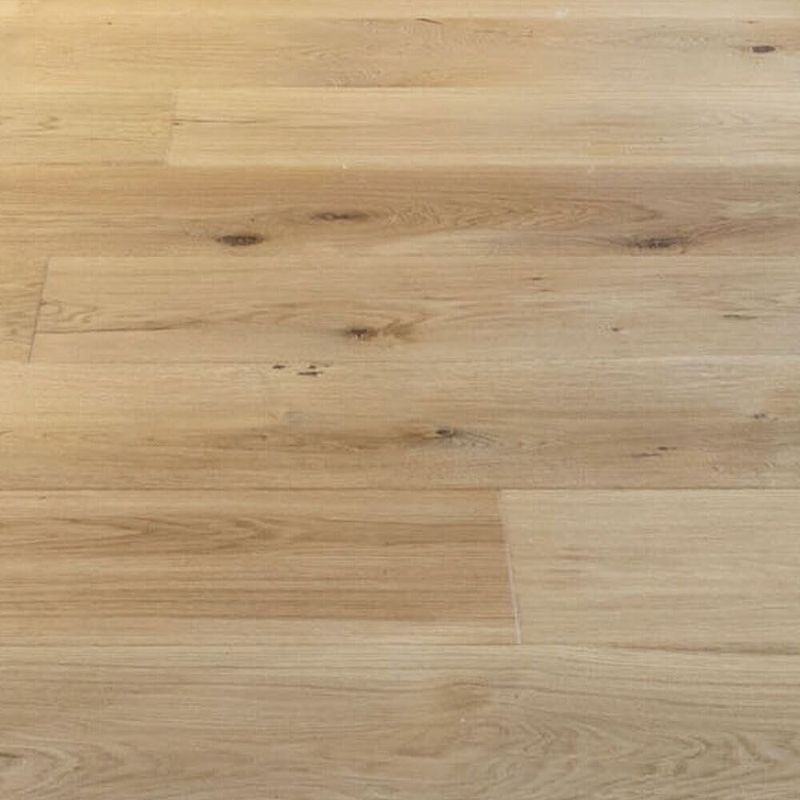 Monster Oak（UV Mat）