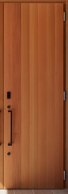 ENTRANCE DOOR
