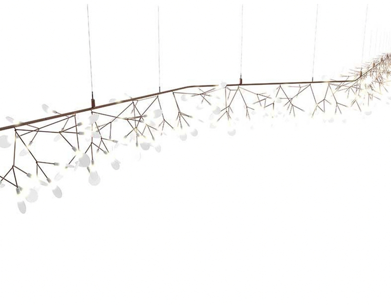 Heracleum Endless - カッパー