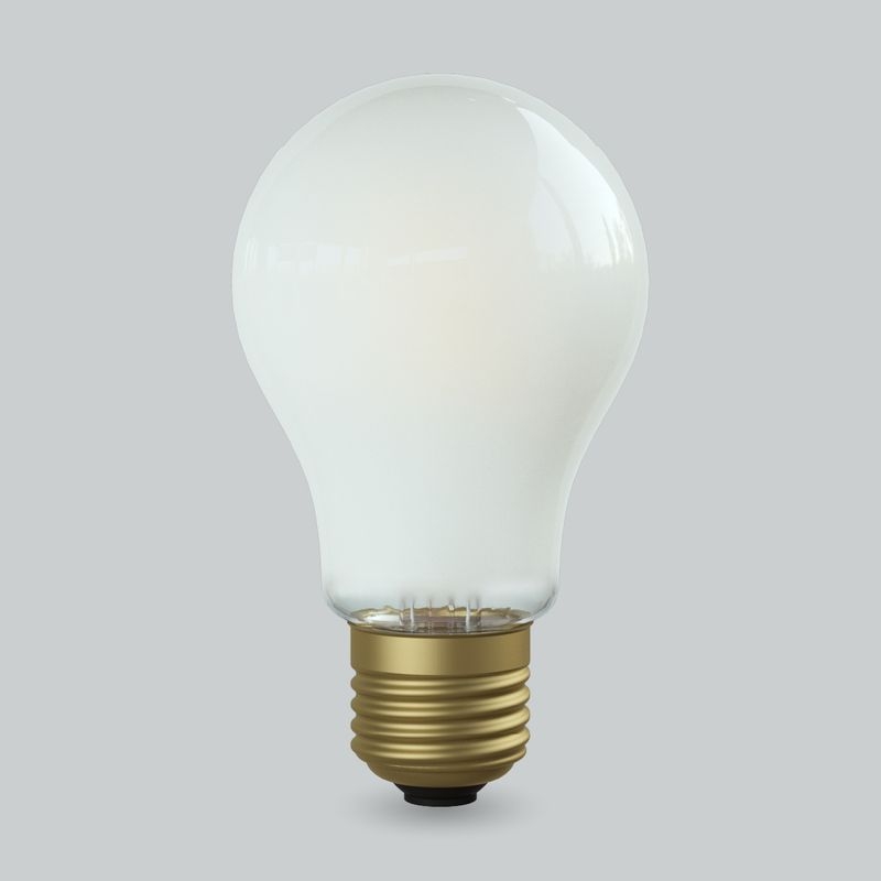 THE BULB60　[FROST]