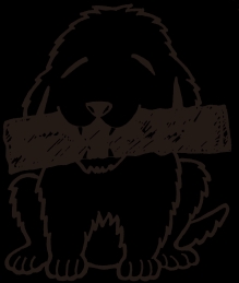 キャン'エンタープライゼズ株式会社