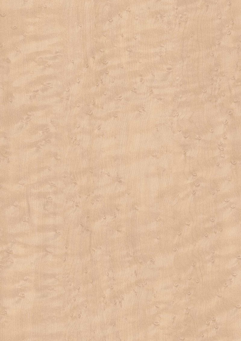 マーレスボードPT・プレミアムテクスチャー / 耐擦り傷性化粧合板 - BBQ2087