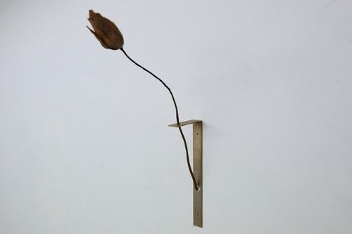 商品画像 1