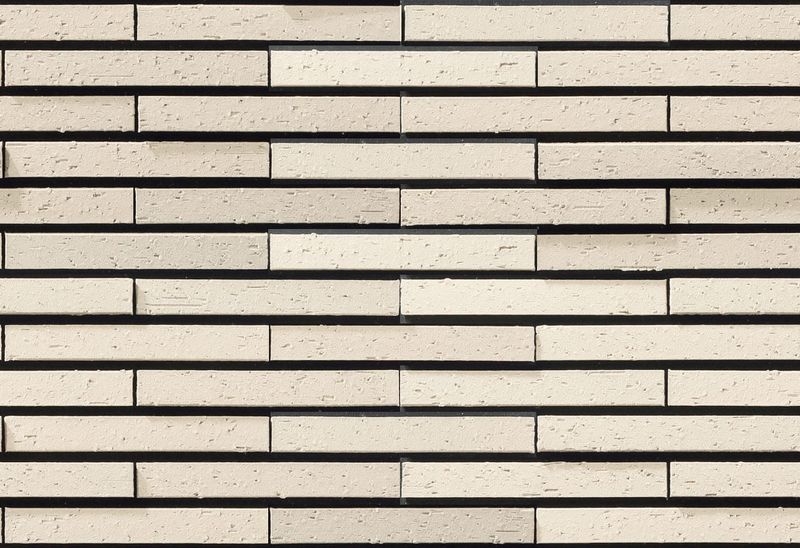 ボックルボーダーⅡ