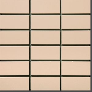 ハレープラム 50二丁