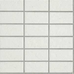 ハレーエポカR 50二丁