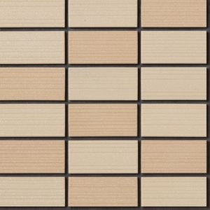 ハレーエポカA 50二丁