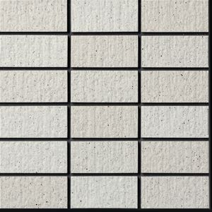 ハレーシュウガ 50二丁・50三丁