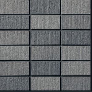 ハレーシュウガ 50二丁・50三丁