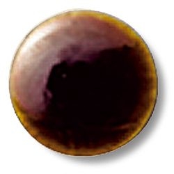 商品画像 1