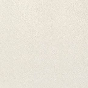 シーサンド グリップ