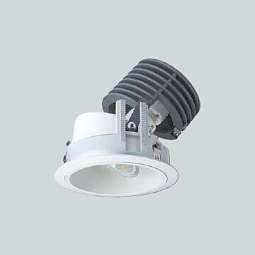 Adjustable downlight SX-851D/V2