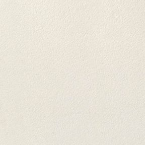 シーサンド グリップ