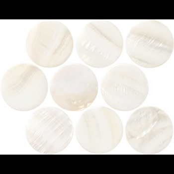 Shell/シェル