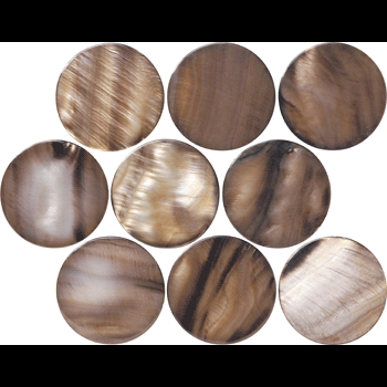 Shell/シェル