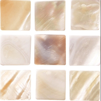 Shell/シェル