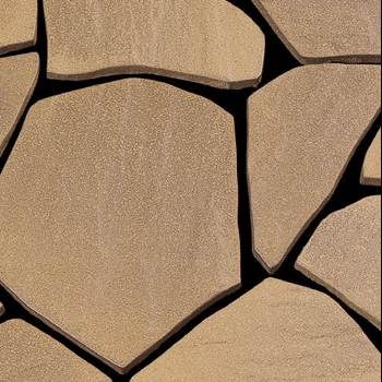 Classical /クラシカル - とのこ（プレーンタイプ）