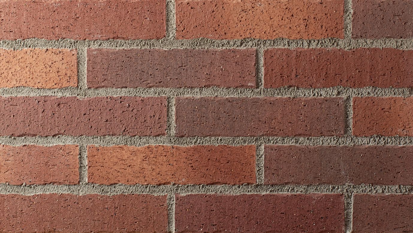 FRANC VERT/フランヴェール | TECTURE（テクチャー）