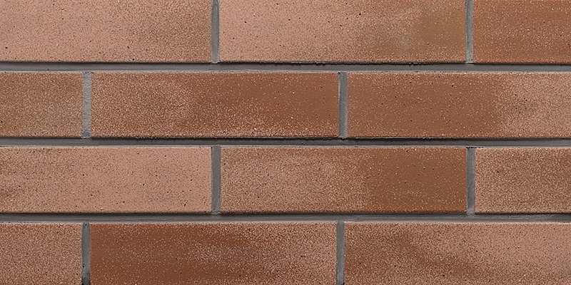 BISCOTTO/ビスコット