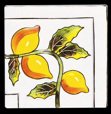 Herb & Fruits/ハーブ & フルーツ