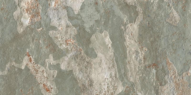 Schist/シスト