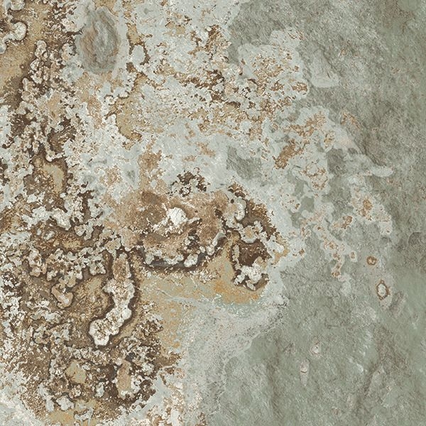 Schist/シスト