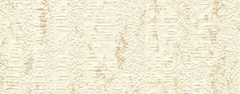 ダンチボード - ダンチボード 3'×6'
