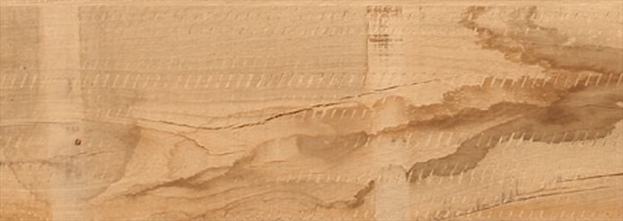 ワイルド無垢ナラMore Wild