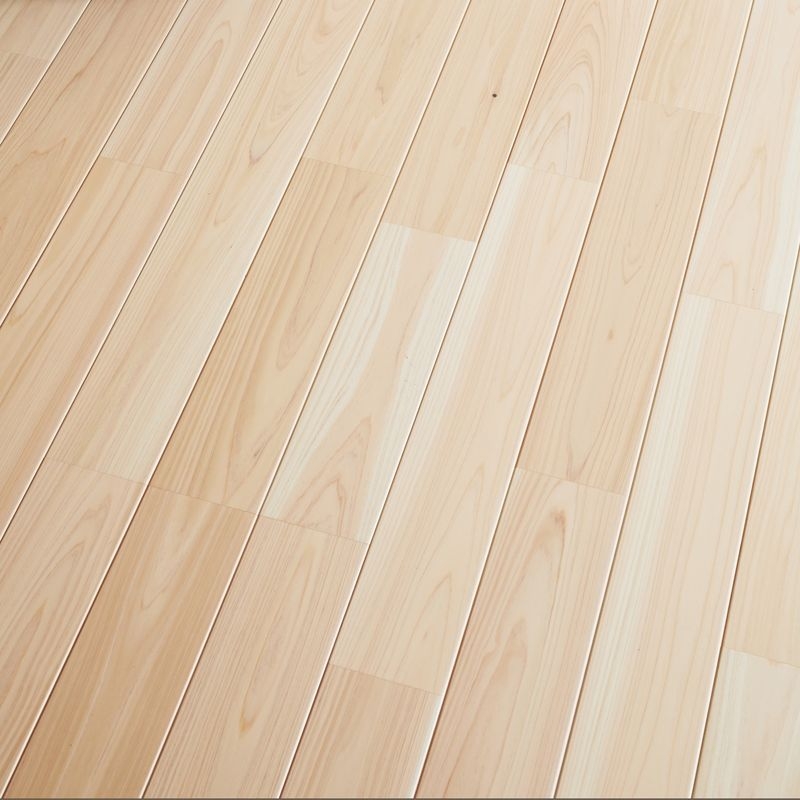 Live Natural Premium STANDARD - ヒノキ 3P
