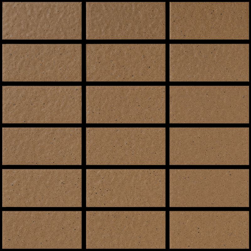 ユーカリページ image_EP-52_50.2T.jpg