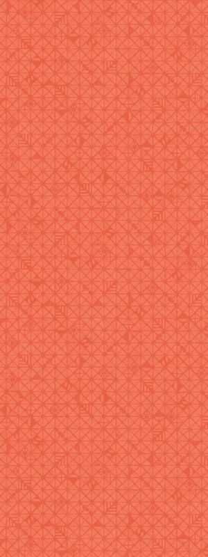 +WONDERセラール / メラミン不燃化粧板 - WF-3046Z Orange