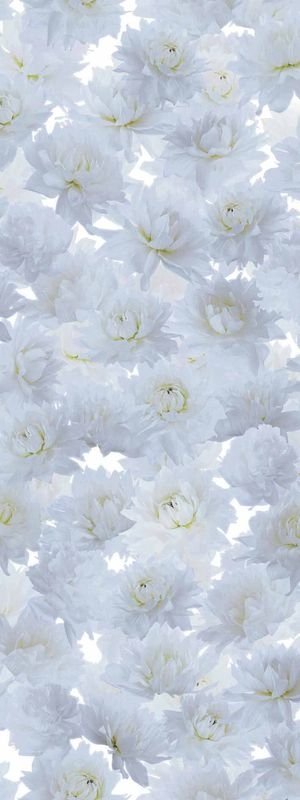 +WONDERセラール / メラミン不燃化粧板 - WF-3069Z White