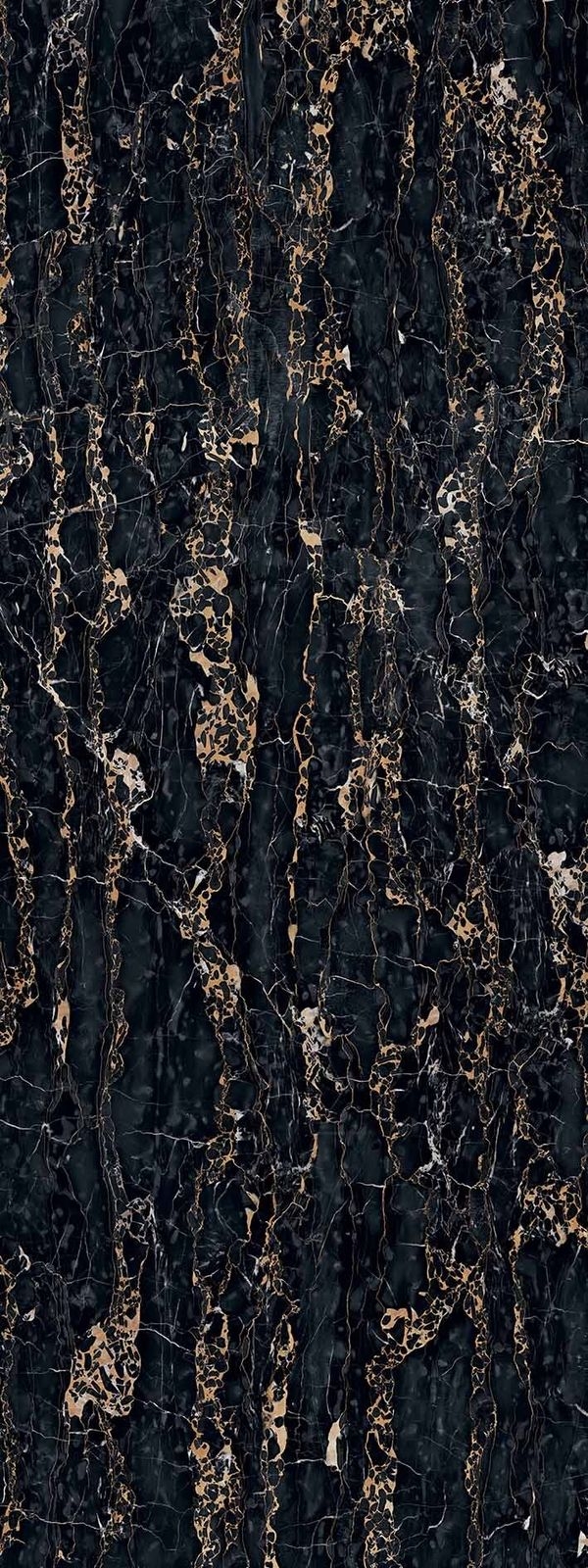+WONDERセラール