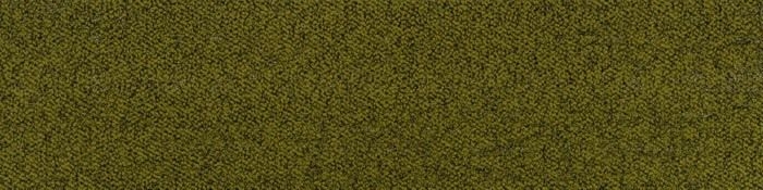 カラーセンス - カラーセンス サワーキウィ