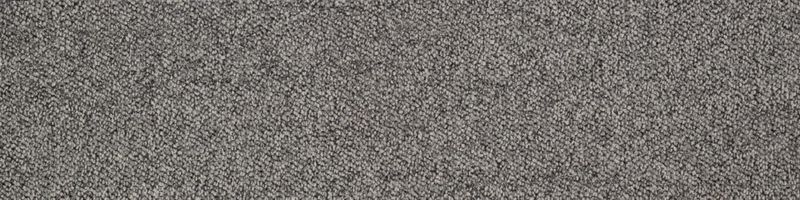 センス コレクション - センスコレクション ネットワークグレー