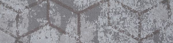 ムンディ コレクション - ムンディコレクション フォッシル6 スチール