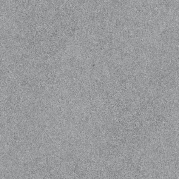 消臭NSトワレNW