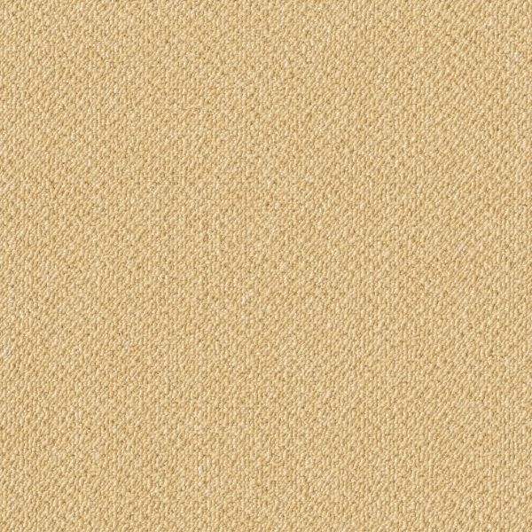 アタック350 リップルパレット