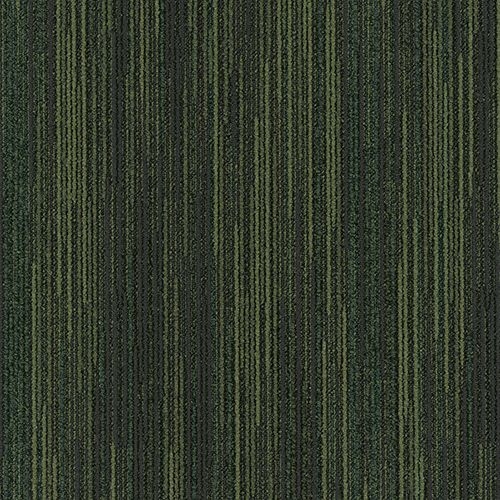 サムネイル 1