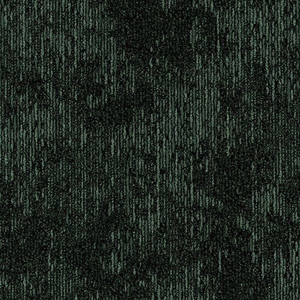 サムネイル 1