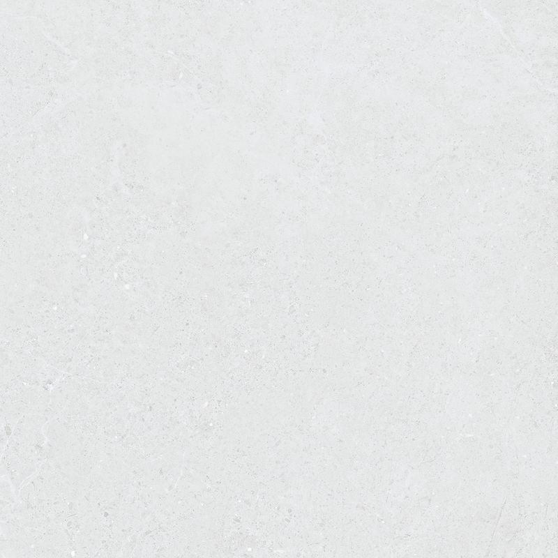 アヴァンティ - WHITE