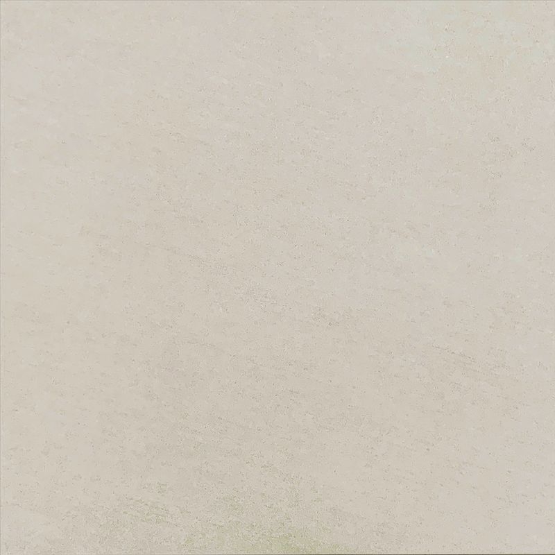 オーソリティー - 600角