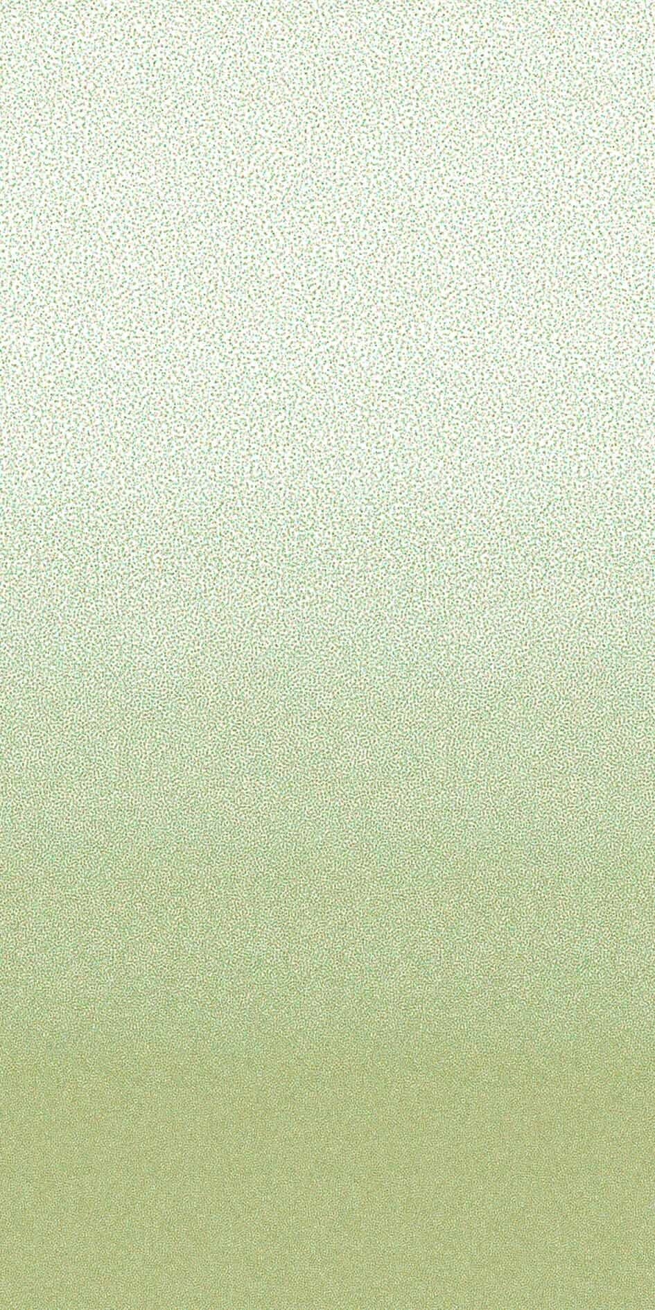 +WONDERフィルム