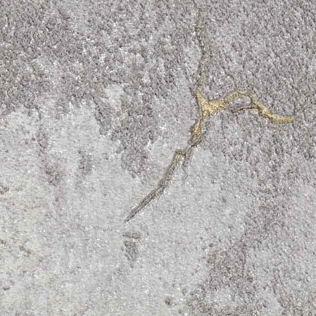 フロア_ストロングEX