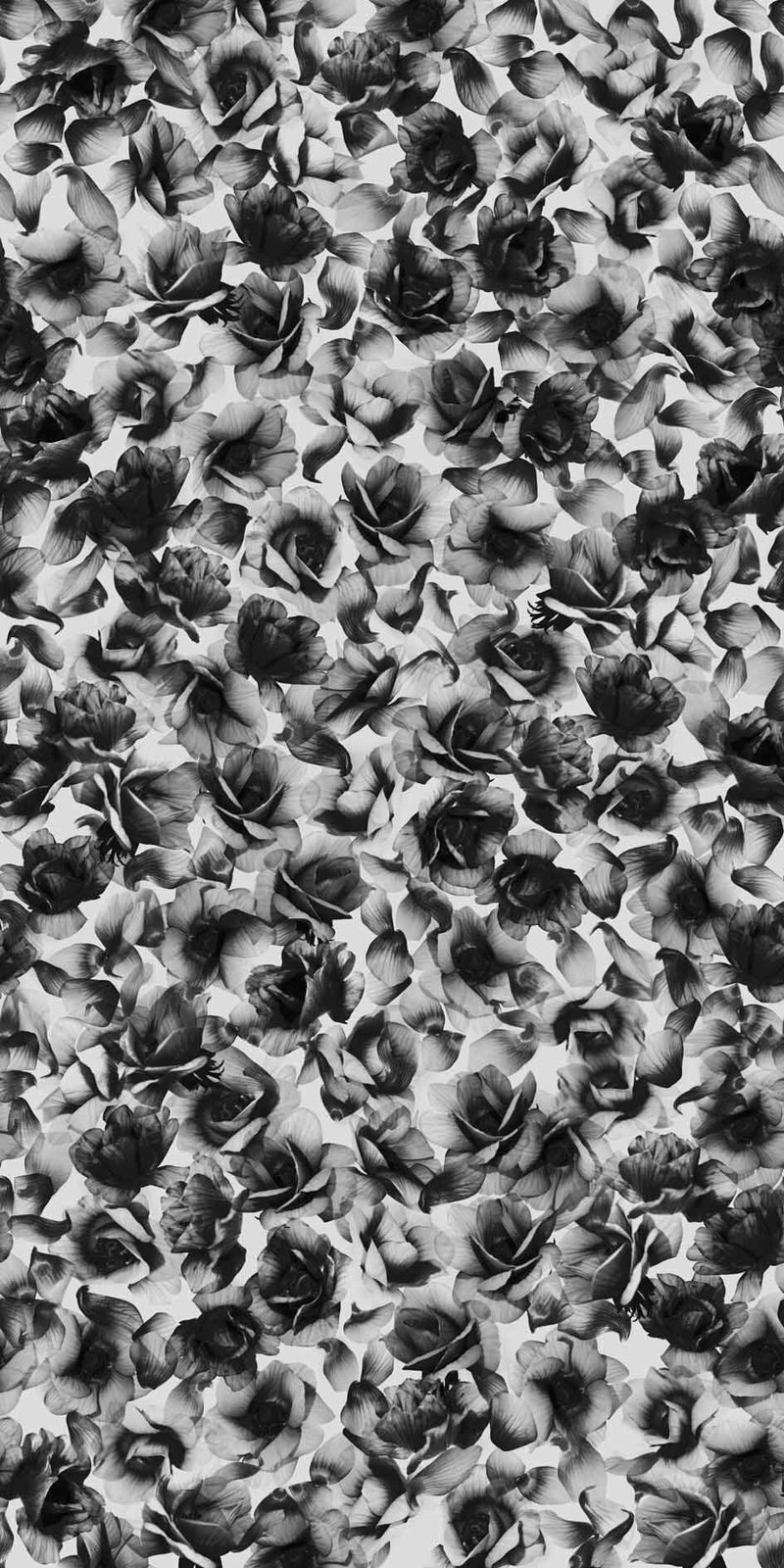 +WONDERフィルム/ 粘着剤付化粧フィルム - WR-3080G Monochrome