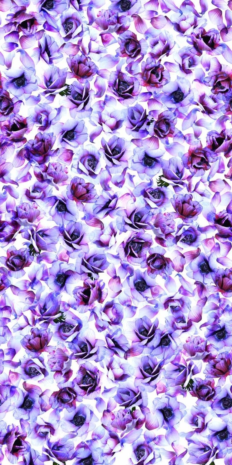 +WONDERフィルム/ 粘着剤付化粧フィルム - WR-3081G Amethyst