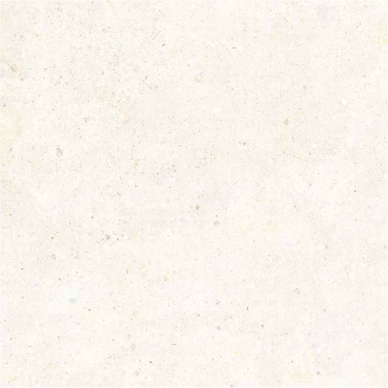 BIOPHILIC/バイオフィリック - 600角平