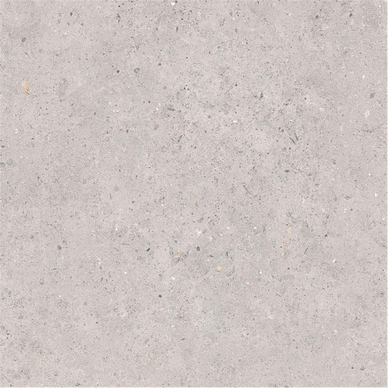 BIOPHILIC/バイオフィリック - 600角平
